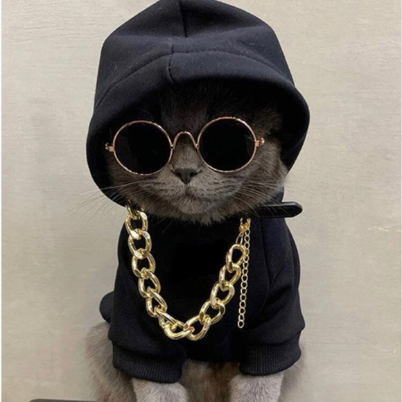 Other - 🎉 HP 🎉  3 PCs Pet Outfit